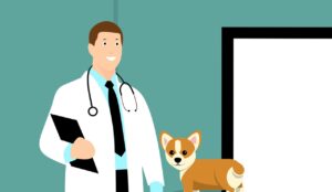 vet, doctor, dog-3895477.jpg