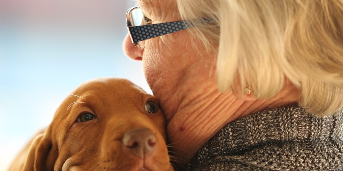 young, old, puppy-1835731.jpg